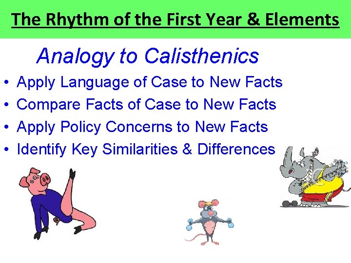 The Rhythm of the First Year & Elements Analogy to Calisthenics • • Apply The Rhythm of the First Year & Elements Analogy to Calisthenics • • Apply