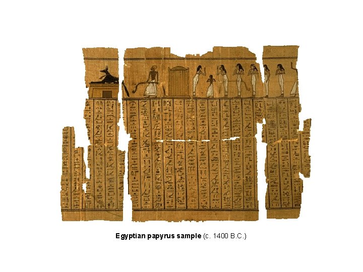 Egyptian papyrus sample (c. 1400 B. C. ) 