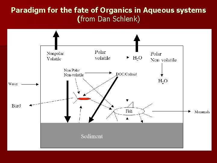 Paradigm for the fate of Organics in Aqueous systems (from Dan Schlenk) 