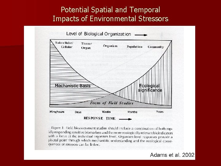Potential Spatial and Temporal Impacts of Environmental Stressors 