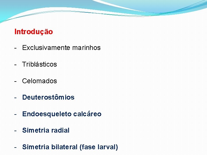 Introdução - Exclusivamente marinhos - Triblásticos - Celomados - Deuterostômios - Endoesqueleto calcáreo -