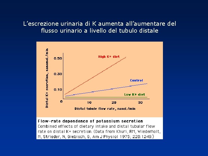 L’escrezione urinaria di K aumenta all’aumentare del flusso urinario a livello del tubulo distale