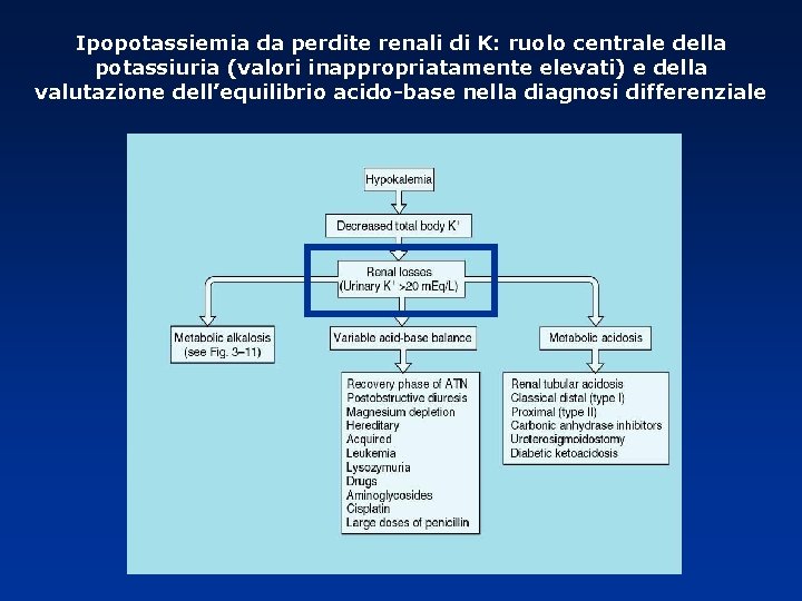 Ipopotassiemia da perdite renali di K: ruolo centrale della potassiuria (valori inappropriatamente elevati) e Ipopotassiemia da perdite renali di K: ruolo centrale della potassiuria (valori inappropriatamente elevati) e