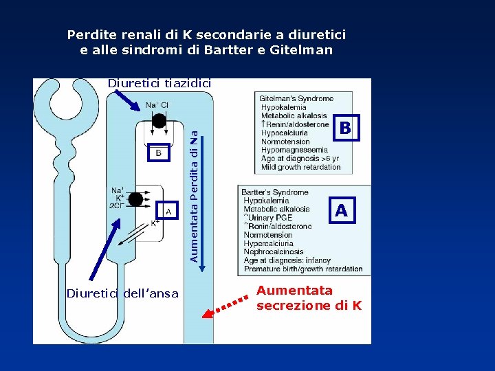Perdite renali di K secondarie a diuretici e alle sindromi di Bartter e Gitelman Perdite renali di K secondarie a diuretici e alle sindromi di Bartter e Gitelman