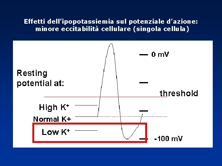 Effetti dell’ipopotassiemia sul potenziale d’azione: minore eccitabilità cellulare (singola cellula) Effetti dell’ipopotassiemia sul potenziale d’azione: minore eccitabilità cellulare (singola cellula)