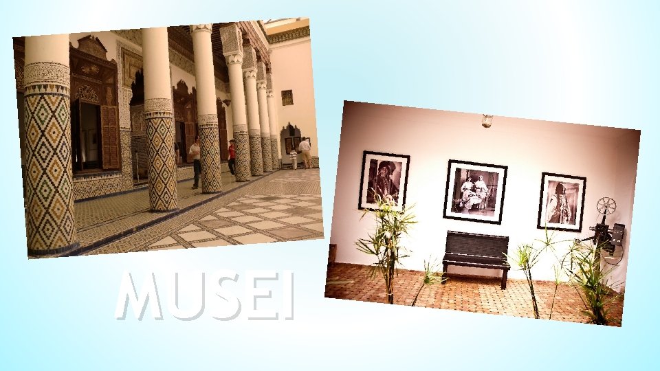MUSEI MUSEI