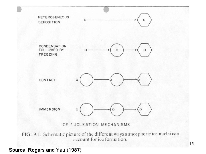 15 Source: Rogers and Yau (1987) 