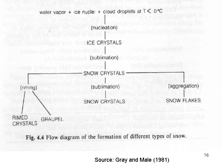 Source: Gray and Male (1981) 16 