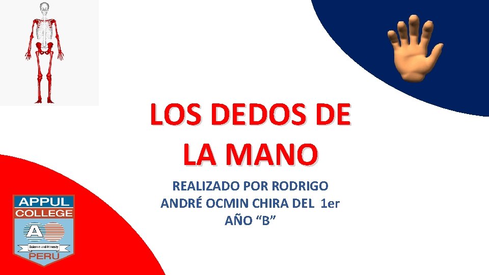 LOS DEDOS DE LA MANO REALIZADO POR RODRIGO ANDRÉ OCMIN CHIRA DEL 1 er