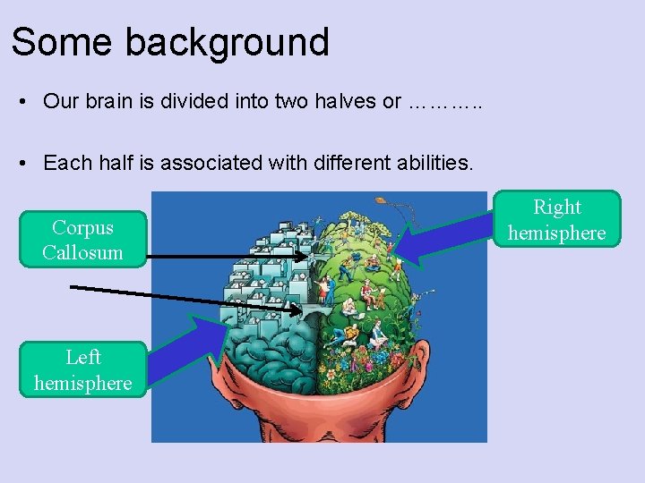 Some background • Our brain is divided into two halves or ………. . •