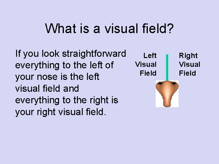 What is a visual field? If you look straightforward everything to the left of