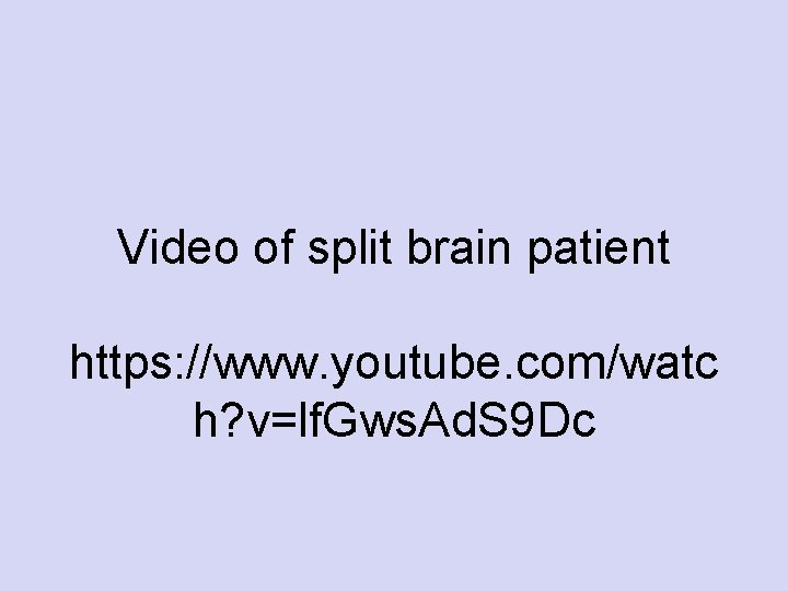 Video of split brain patient https: //www. youtube. com/watc h? v=lf. Gws. Ad. S