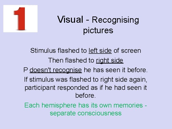 Visual - Recognising pictures Stimulus flashed to left side of screen Then flashed to