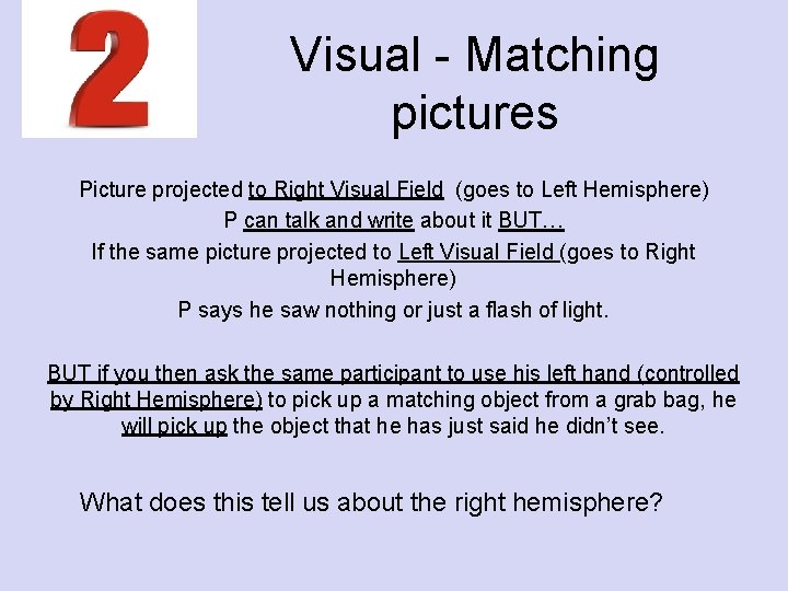 Visual - Matching pictures Picture projected to Right Visual Field (goes to Left Hemisphere)