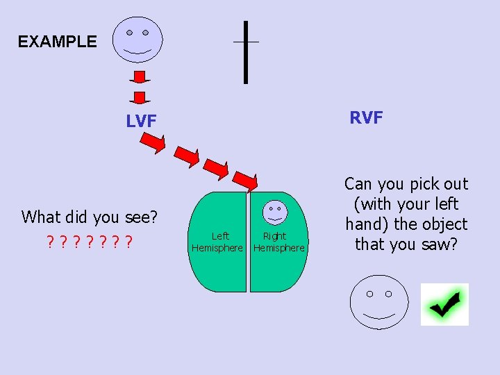 EXAMPLE RVF LVF What did you see? ? ? ? Left Hemisphere Right Hemisphere