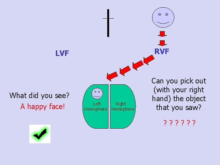 RVF LVF What did you see? A happy face! Left Hemisphere Right Hemisphere Can