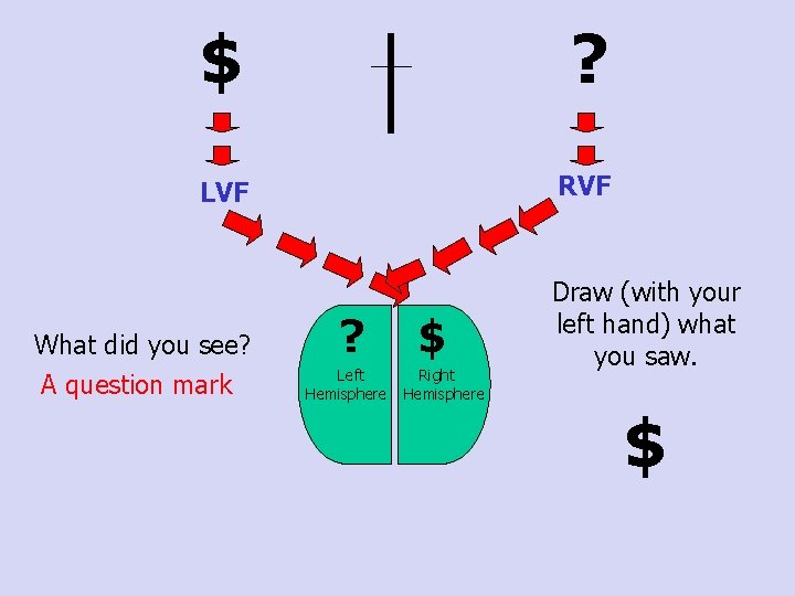 $ ? LVF RVF What did you see? A question mark ? Left Hemisphere