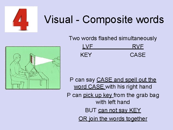 Visual - Composite words Two words flashed simultaneously LVF RVF KEY CASE P can