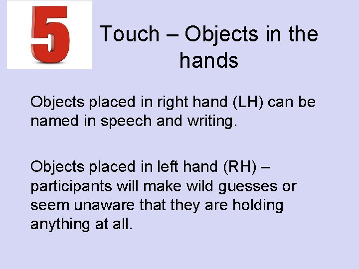 Touch – Objects in the hands Objects placed in right hand (LH) can be