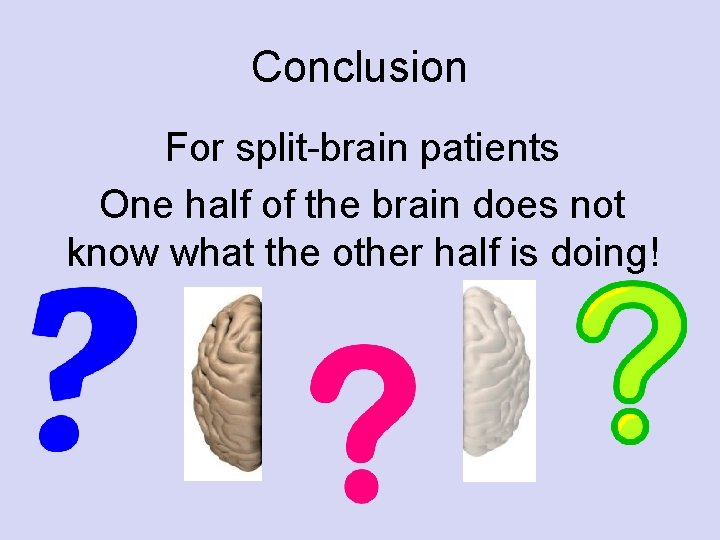 Conclusion For split-brain patients One half of the brain does not know what the