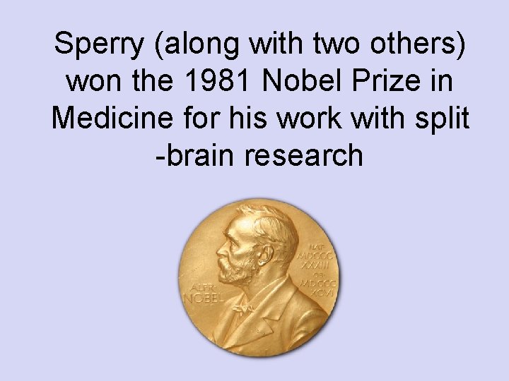 Sperry (along with two others) won the 1981 Nobel Prize in Medicine for his