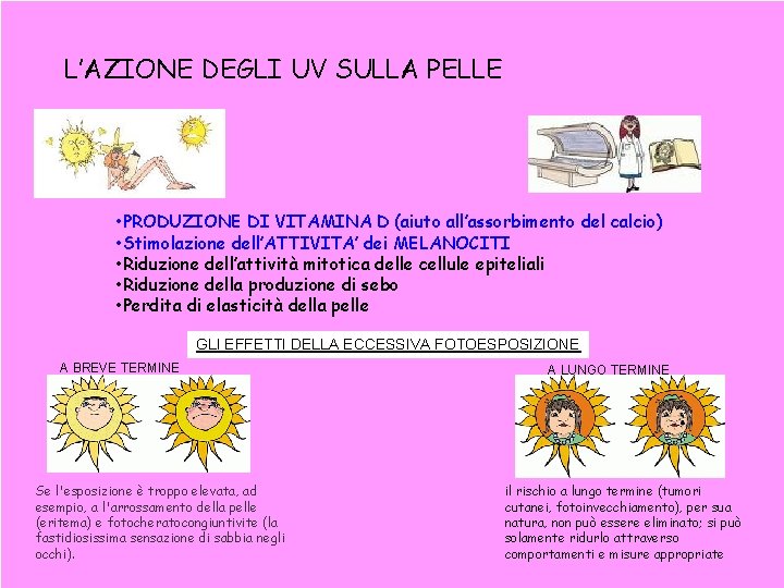 L’AZIONE DEGLI UV SULLA PELLE • PRODUZIONE DI VITAMINA D (aiuto all’assorbimento del calcio)