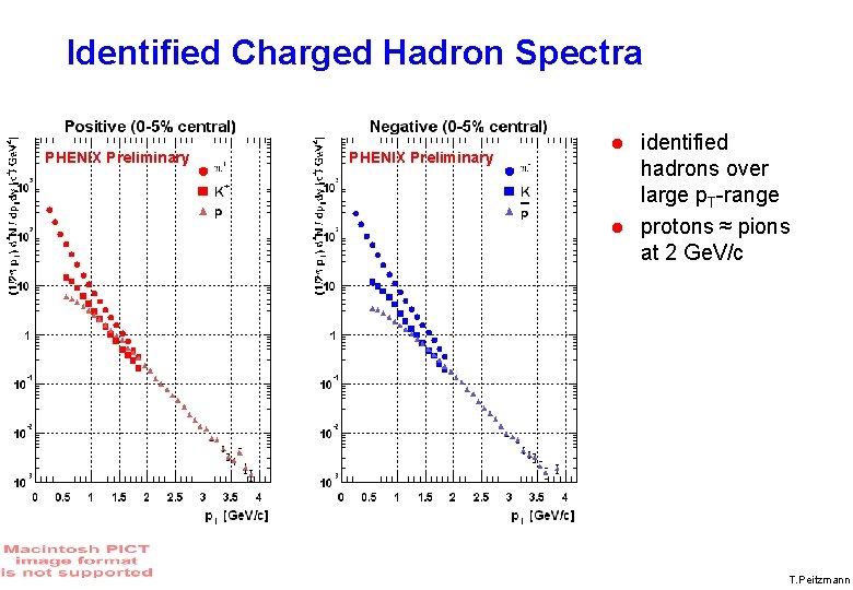 Identified Charged Hadron Spectra PHENIX Preliminary identified hadrons over large p. T-range protons ≈