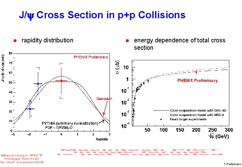 J/y Cross Section in p+p Collisions rapidity distribution energy dependence of total cross section