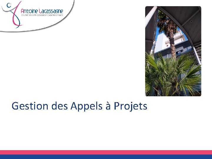 Gestion des Appels à Projets 