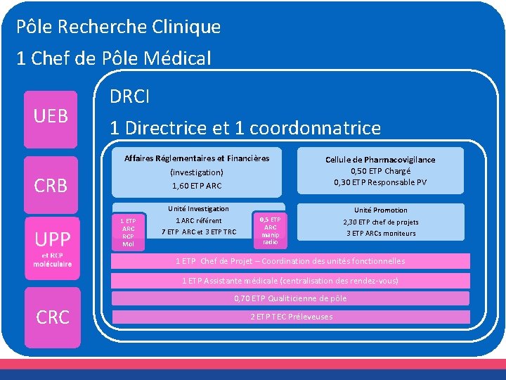 Pôle Recherche Clinique 1 Chef de Pôle Médical UEB DRCI 1 Directrice et 1