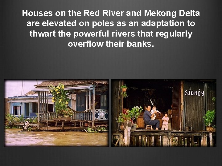Houses on the Red River and Mekong Delta are elevated on poles as an Houses on the Red River and Mekong Delta are elevated on poles as an
