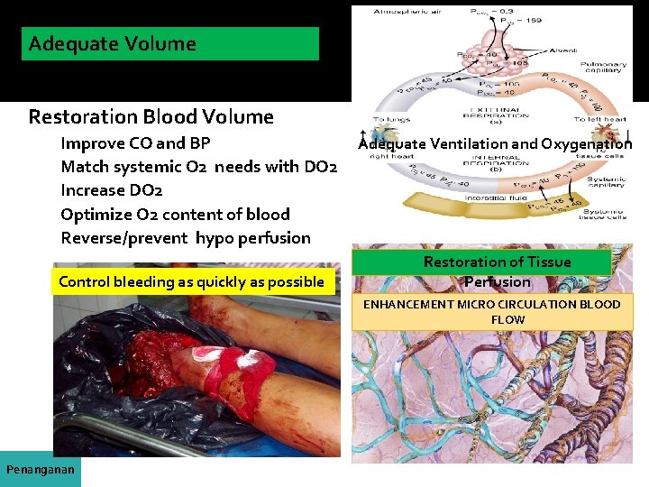 Adequate Volume Replacement Restoration Blood Volume Improve CO and BP Match systemic O 2