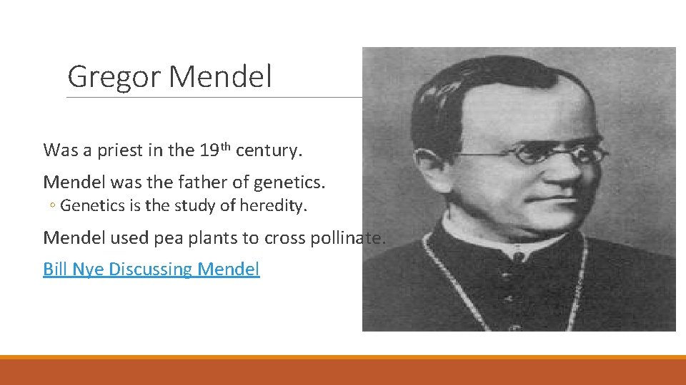 Gregor Mendel Was a priest in the 19 th century. Mendel was the father