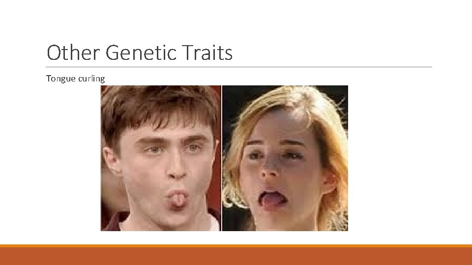 Other Genetic Traits Tongue curling 