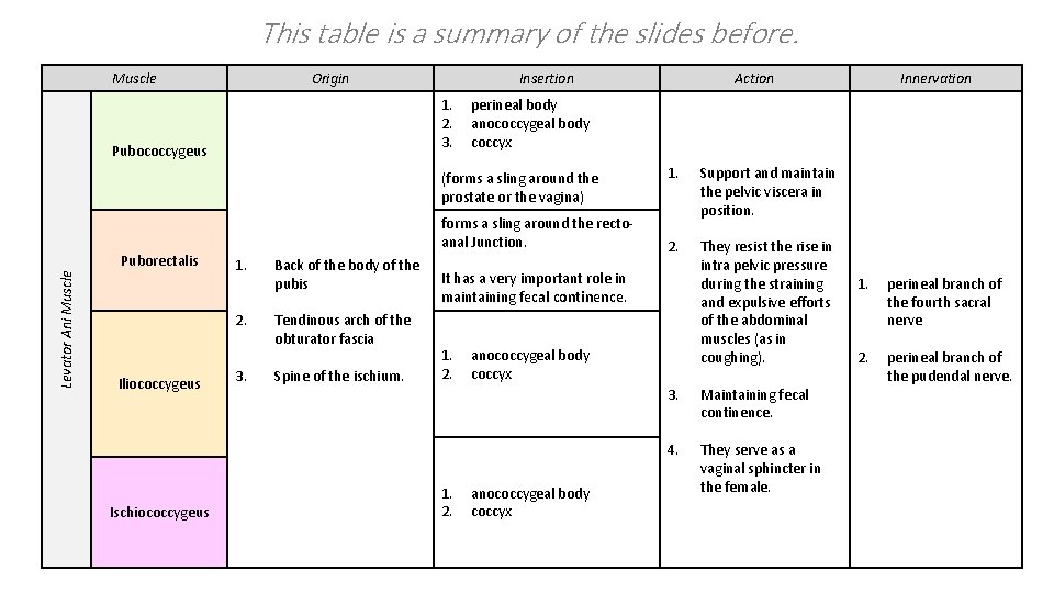 This table is a summary of the slides before. Muscle Origin Insertion 1. 2.