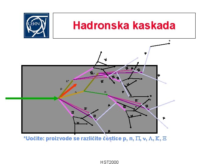 Hadronska kaskada e + e - - K+ e + K+ - p n