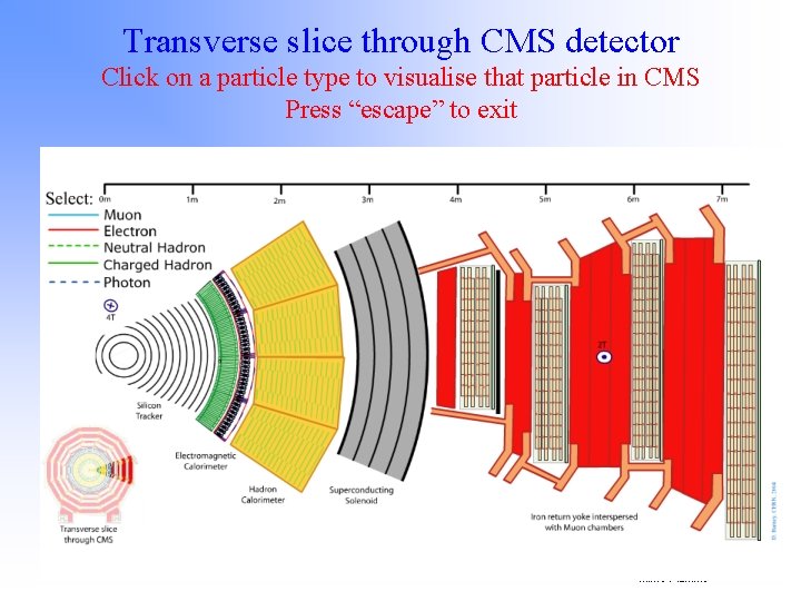 Transverse slice through CMS detector Click on a particle type to visualise that particle