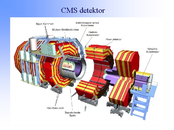 CMS detektor 