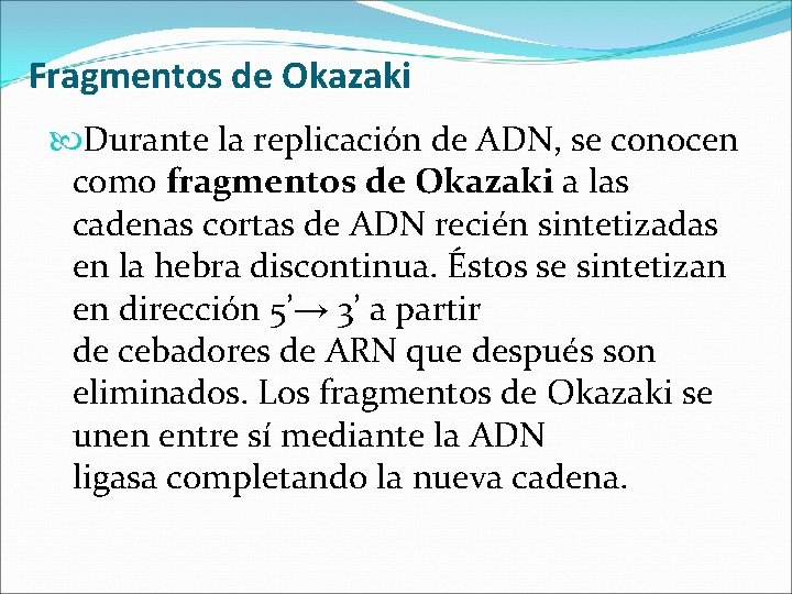 Fragmentos de Okazaki Durante la replicación de ADN, se conocen como fragmentos de Okazaki