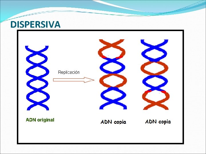 DISPERSIVA 