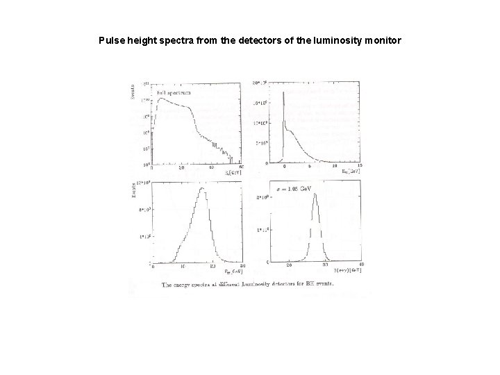 Pulse height spectra from the detectors of the luminosity monitor 