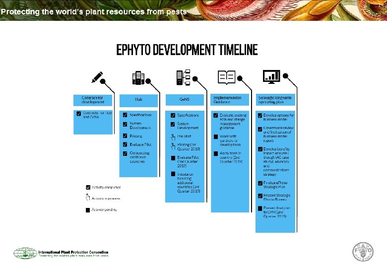 The IPPC e Phyto Solution 1 The IPPC