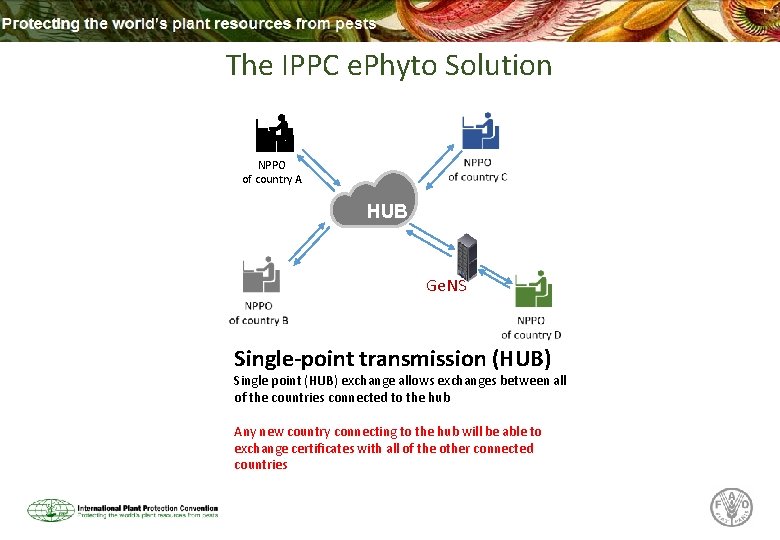 The IPPC e. Phyto Solution NPPO of country A HUB Ge. NS Single-point transmission The IPPC e. Phyto Solution NPPO of country A HUB Ge. NS Single-point transmission