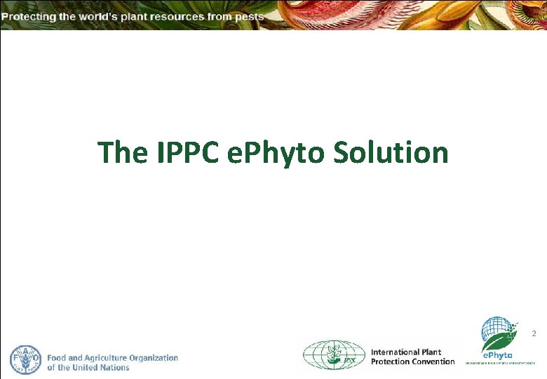 The IPPC e. Phyto Solution 2 The IPPC e. Phyto Solution 2