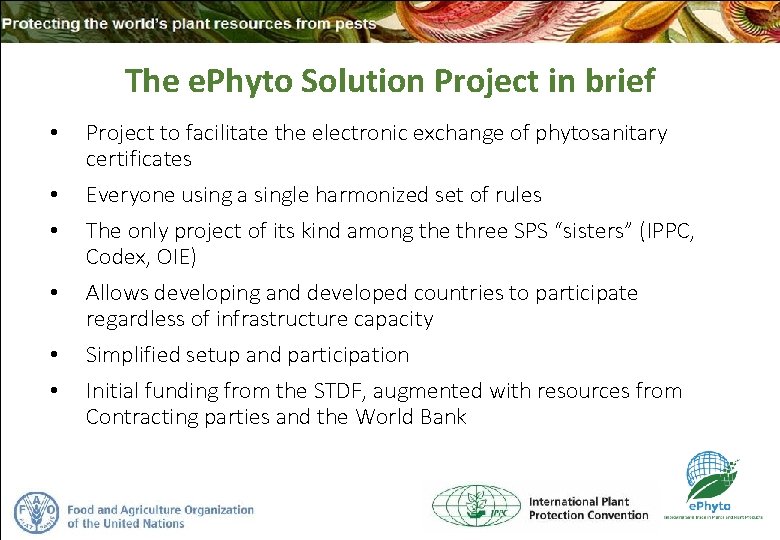 The e. Phyto Solution Project in brief • • • Project to facilitate the The e. Phyto Solution Project in brief • • • Project to facilitate the