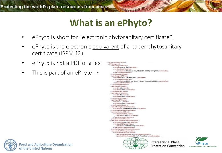 What is an e. Phyto? • e. Phyto is short for “electronic phytosanitary certificate”. What is an e. Phyto? • e. Phyto is short for “electronic phytosanitary certificate”.