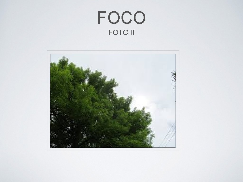 FOCO FOTO II 