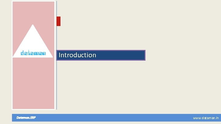 Introduction Dataman. ERP www. dataman. in 