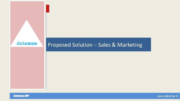 Proposed Solution – Sales & Marketing Dataman. ERP www. dataman. in 