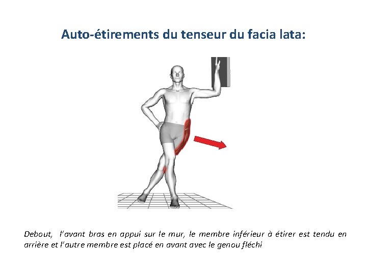 Auto-étirements du tenseur du facia lata: Debout, l’avant bras en appui sur le mur,